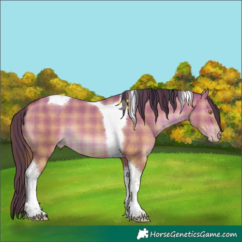 Horse Color:Plaid  Sable Champagne Dun Tobiano 