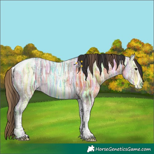 Horse Color:Plaid  Bay Ice Tobiano Snowflake Varnish 