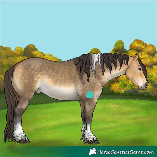 Horse Color:Buckskin Dun Tobiano 