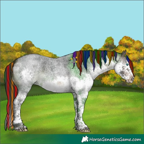 Horse Color:Painted Brown Roan Splash Rabicano