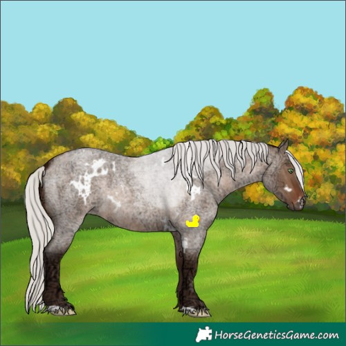 Horse Color:White Spotted Silver Brown Ice Roan Dun
