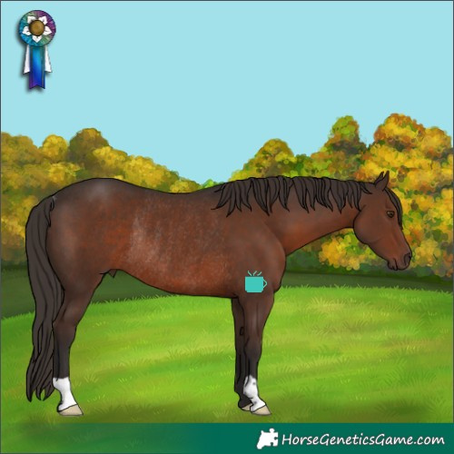 Horse Color:Liver Chestnut Rabicano