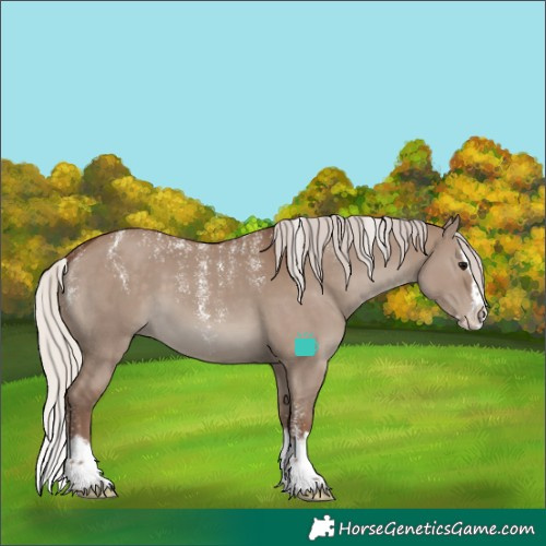 Horse Color:Powder White Silver Grullo Splash