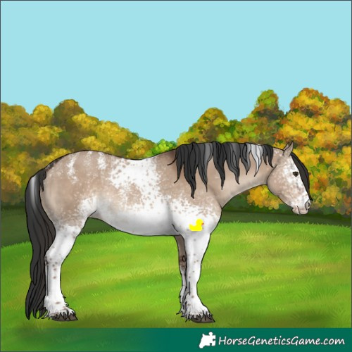 Horse Color:Powder White White Spotted Liver Red Dun 