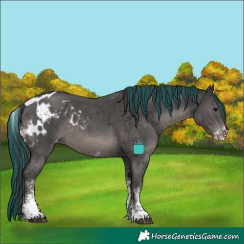 Horse Color:Painted Smoky Black Sabino Tobiano Skewed LP Spotted