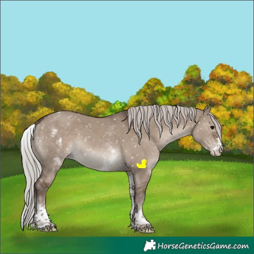 Horse Color:White Spotted Silver Grullo Sabino Skewed LP Spotted 