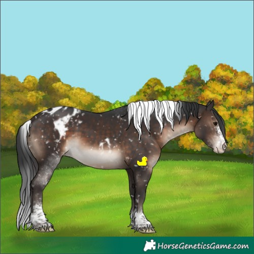 Horse Color:Brown Sabino Tobiano Skewed LP Spotted 