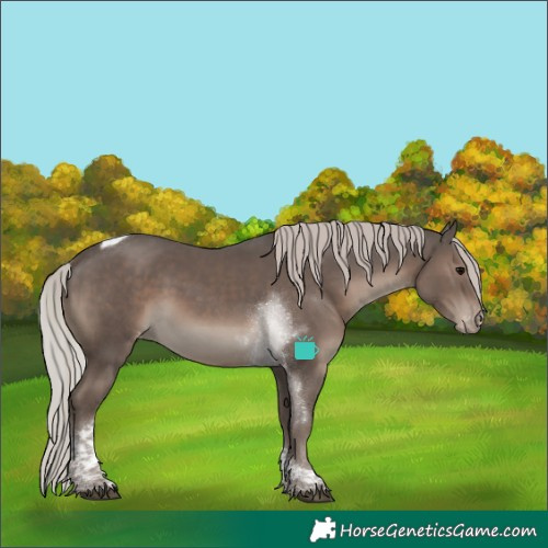 Horse Color:Silver Black Tobiano Skewed LP Spotted Rabicano 