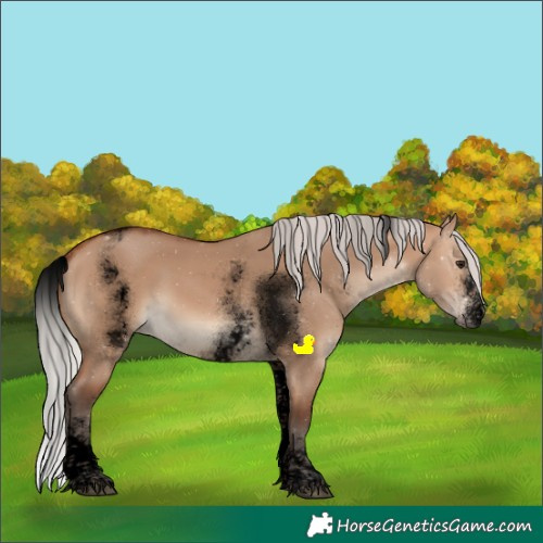 Horse Color:Void White Spotted Silver Brown Dun Sabino Rabicano 