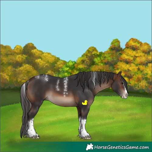 Horse Color:Powder White Brown Sabino Splash Rabicano 