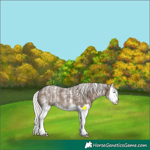 Horse Color:Powder White Silver Grullo Sabino Splash