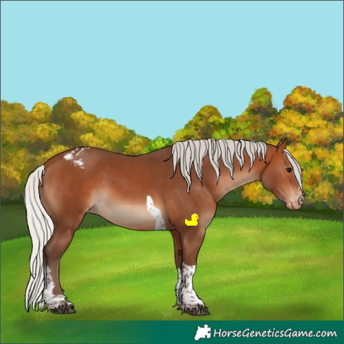 Horse Color:Silver Brown Sabino Tobiano Varnish 