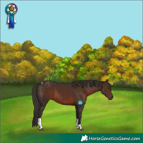 Horse Color:Liver Chestnut Tobiano 