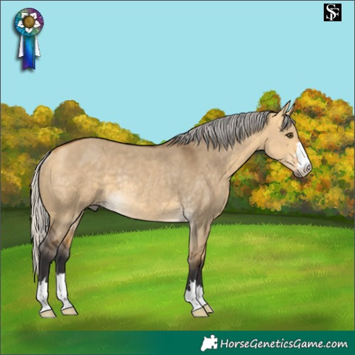 Horse Color:Silver Buckskin Dun Rabicano