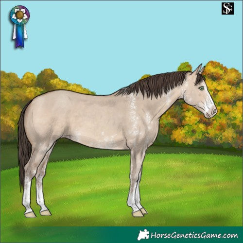 Horse Color:White Spotted Sable Champagne Dun 