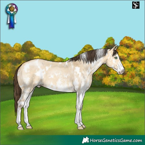 Horse Color:White Spotted Amber Cream Champagne Dun