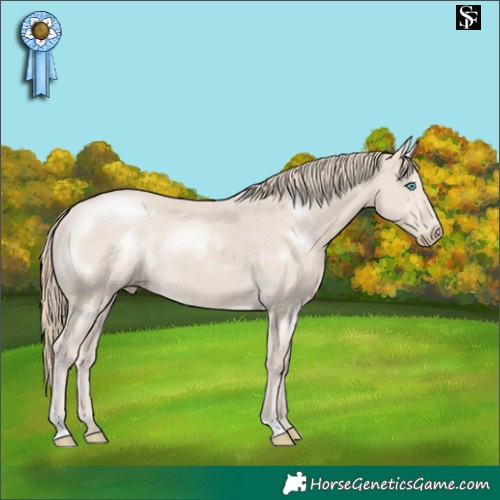 Horse Color:Smoky Creme
