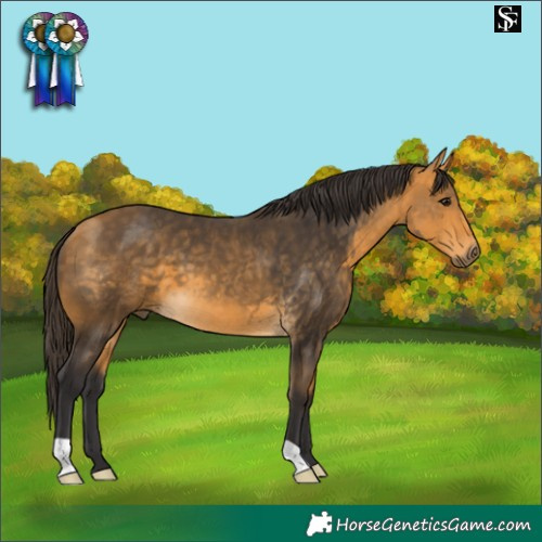 Horse Color:Buckskin
