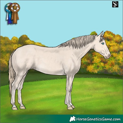 Horse Color:Perlino