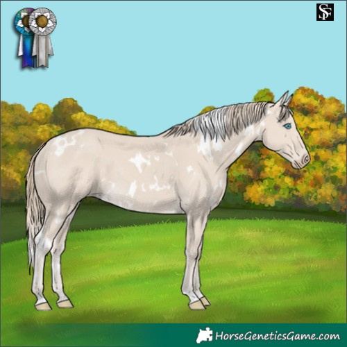 Horse Color:White Spotted Smoky Creme 