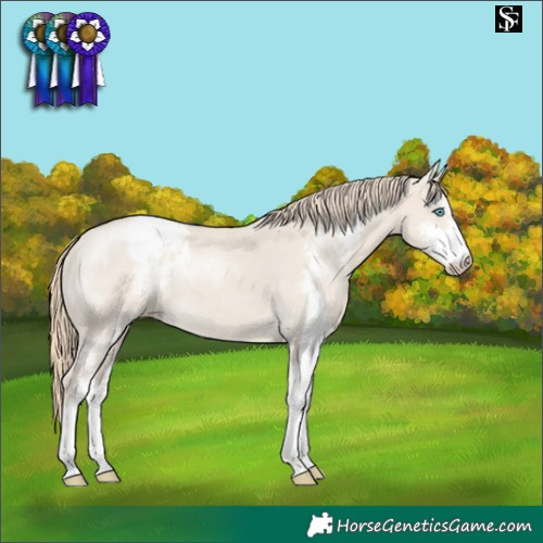 Horse Color:Smoky Creme Dun Sabino Varnish 