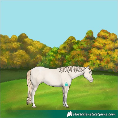 Horse Color:Smoky Black Pearl Tobiano