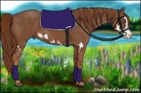 Horse Color:Chestnut Splash Frame