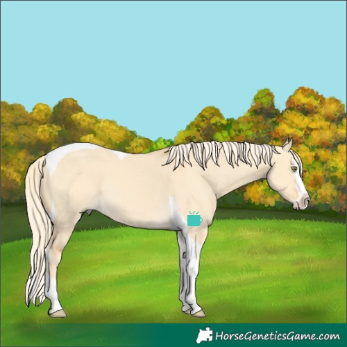 Horse Color:Palomino Dun Splash Tobiano