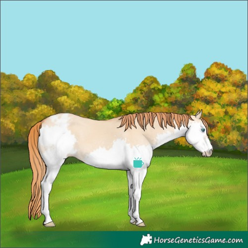 Horse Color:Red Dun Splash Varnish 