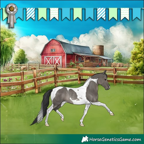 Horse Color:Grullo Tobiano Rabicano