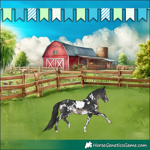 Horse Color:White Spotted Black Varnish