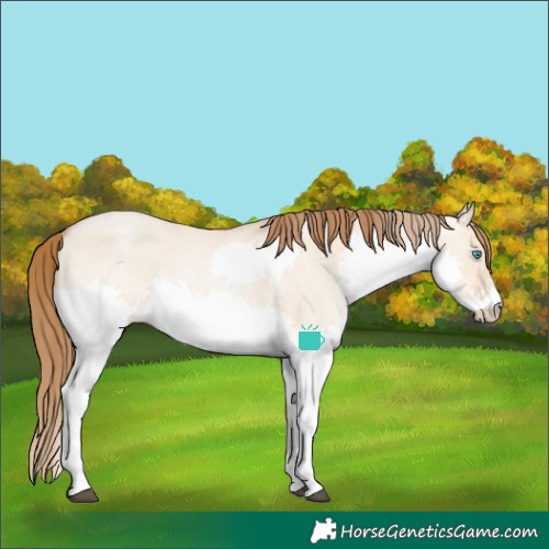 Horse Color:Bay Roan Pearl Dun Splash