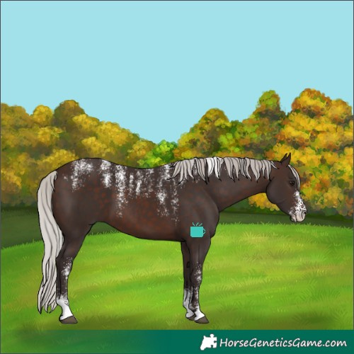 Horse Color:Powder White Silver Brown 