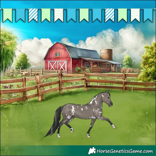 Horse Color:White Spotted Grullo