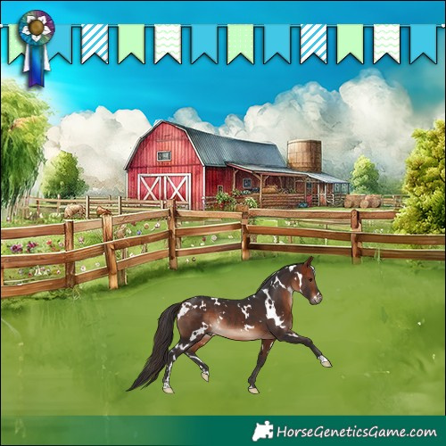 Horse Color:White Spotted Bay Rabicano
