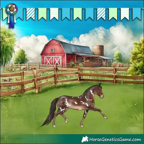 Horse Color:White Spotted Liver Chestnut Rabicano