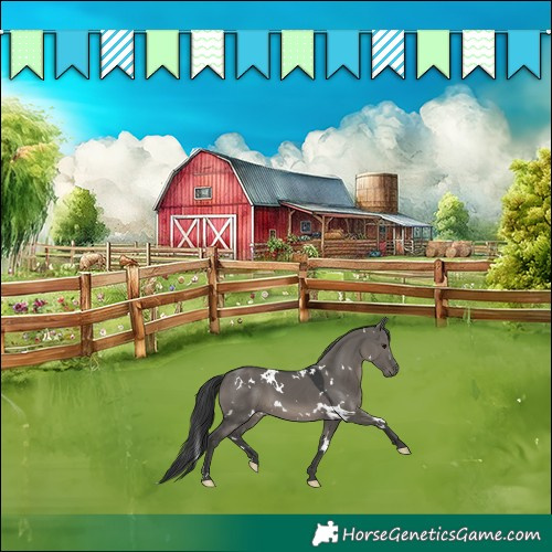 Horse Color:White Spotted Grullo Mushroom 