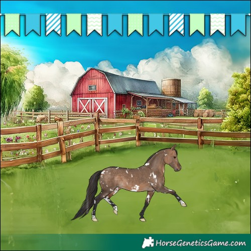 Horse Color:White Spotted Bay Dun