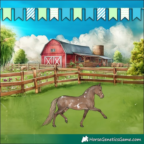 Horse Color:White Spotted Liver Red Dun 