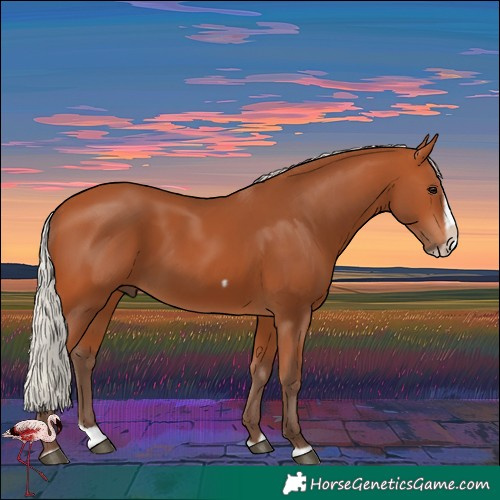 Horse Color:Silver Bay Splash Frame 