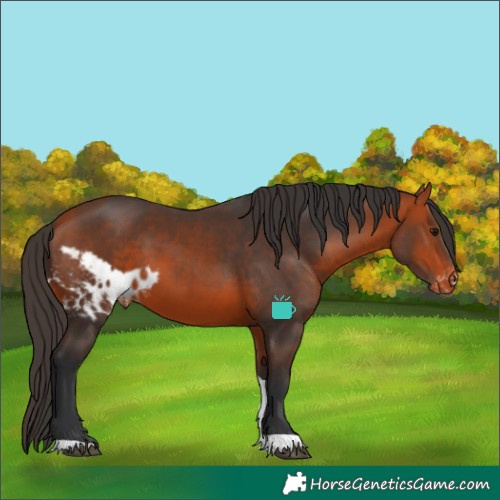 Horse Color:Bay Tobiano Skewed LP Spotted 