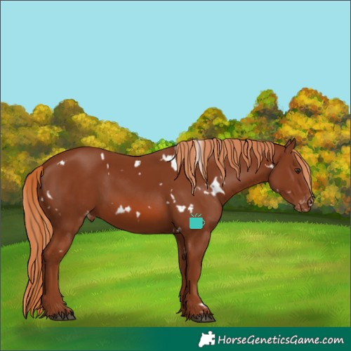 Horse Color:White Spotted Chestnut Skewed LP Spotted 