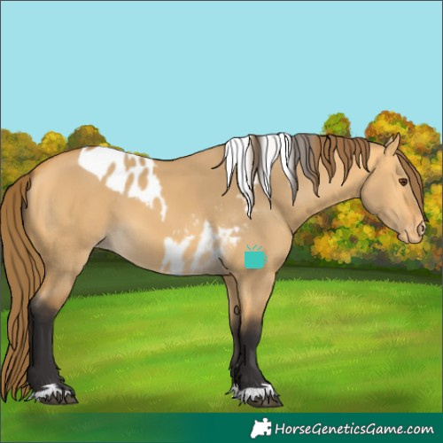 Horse Color:Buckskin Dun Skewed LP Spotted