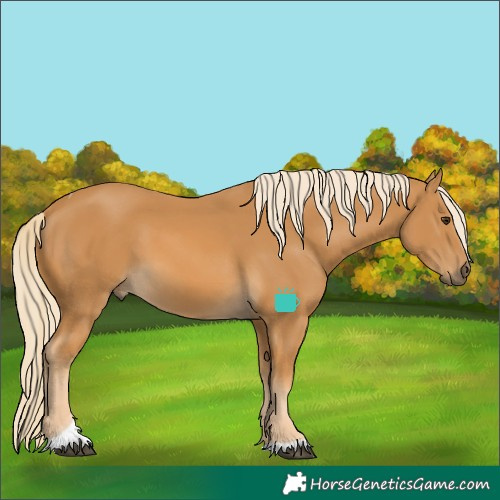 Horse Color:Palomino Tobiano 