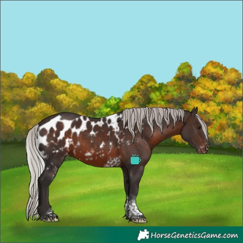 Horse Color:Silver Brown Tobiano Skewed LP Spotted