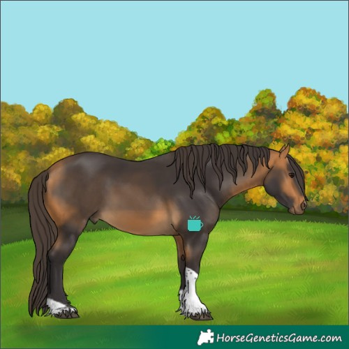Horse Color:Buckskin Tobiano