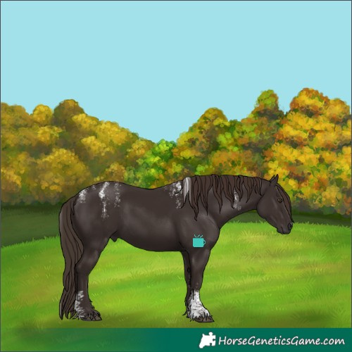 Horse Color:Powder White Liver Chestnut
