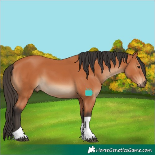 Horse Color:Bay Tobiano