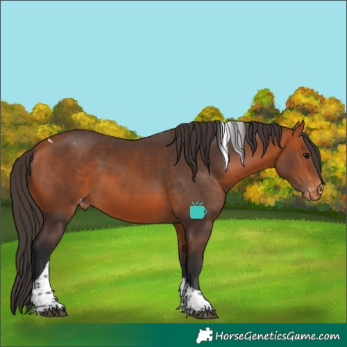 Horse Color:Bay Tobiano Varnish