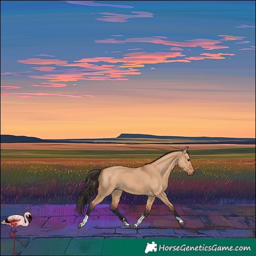 Horse Color:Bay Dun Tobiano